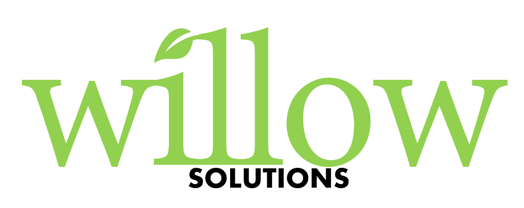 willow-solutions.com